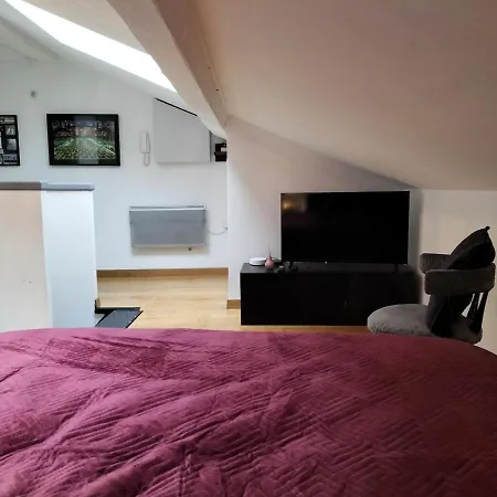 Daire Centre Nancy